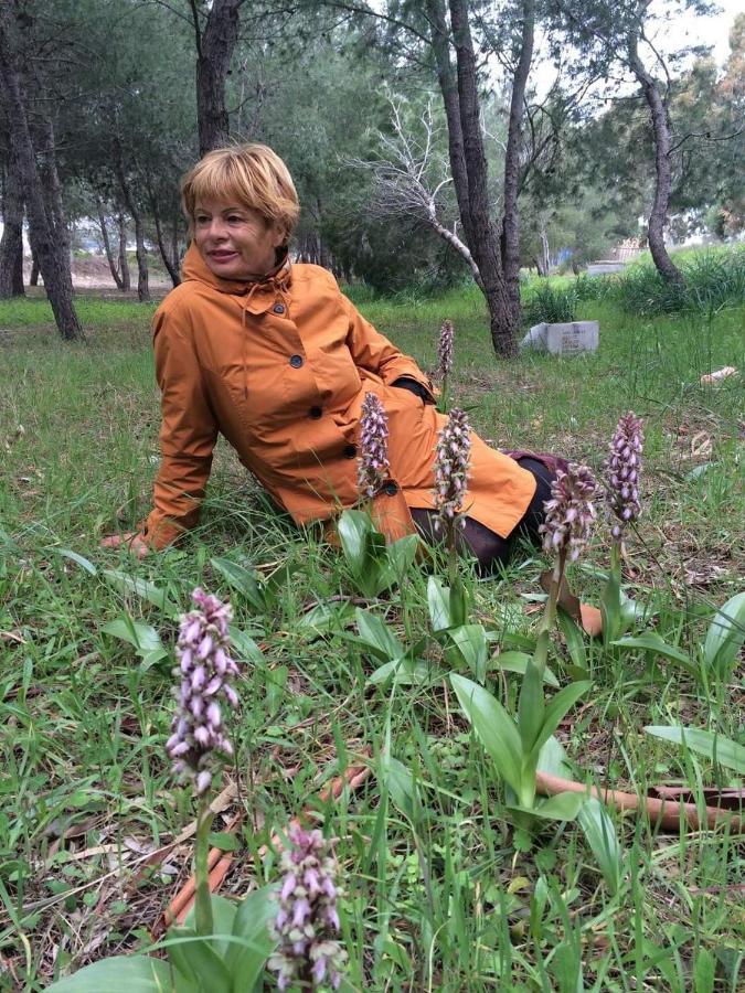 Orchidea Mattinata Parco Del Gargano Apartamento Exterior foto